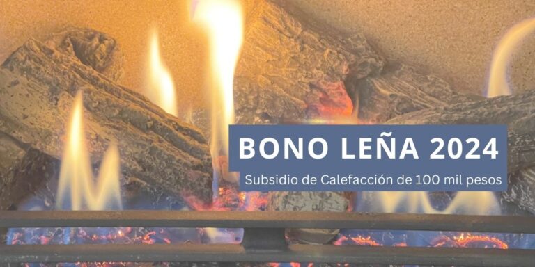 Bono Leña 2024: Consulta con Rut si eres beneficiario